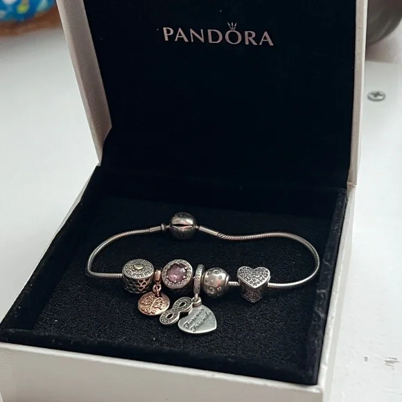 Pandora essence Bracelet with 5 charms - Picture 7 of 8